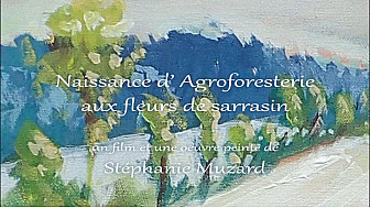 'Naissance d'Agroforesterie aux fleurs de sarrasin' par Stéphanie Muzard