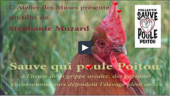 Sauve qui poule Poitou, de Stéphanie Muzard